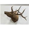 Large Montana Taxidermy Bull Elk Mount