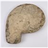 Image 2 : Ancient Fossil Ammonite