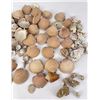 Image 5 : Antique Seashell Shell Collection