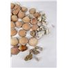 Image 6 : Antique Seashell Shell Collection