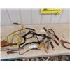Image 1 : Horse Halter & Grooming Tools, Clippers Plus