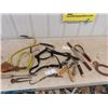 Image 1 : Horse Halter & Grooming Tools, Clippers Plus