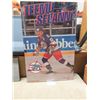 Image 1 : Teemu Selanne Board Picture 22" x 33"