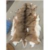 Image 1 : Large Deer Hide 66" x 40" - Approx