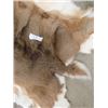 Image 2 : Large Deer Hide 66" x 40" - Approx
