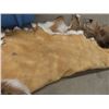 Image 3 : Large Deer Hide 66" x 40" - Approx