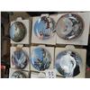 Image 2 : (CS) 12 Bird Collector Plates