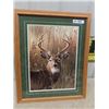 Image 1 : (DC) Frame Print of  A Buck 24" x 30"