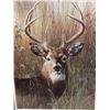 Image 2 : (DC) Frame Print of  A Buck 24" x 30"