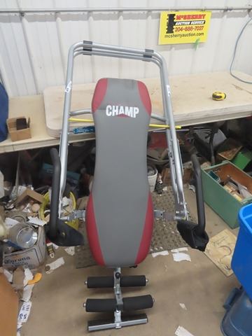 Body Champ Inversion Exersciser