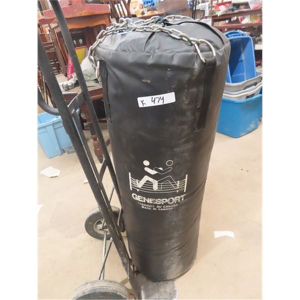 Gene Sport Punching Bag