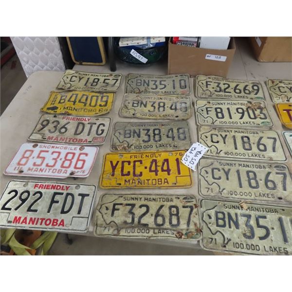 Approx 36 License Plates