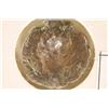138-161 A.D. ANTONINUS PIUS ANCIENT COIN