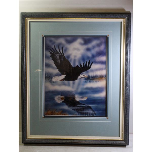 PICTURE OF SOARING EAGLE