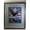 Image 1 : PICTURE OF SOARING EAGLE