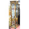 2 DOOR CURIO CABINET WITH MIRRORED BACK AND LIGHTS