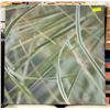 Image 1 : CANVAS PRINT APPROX 30" X 30"