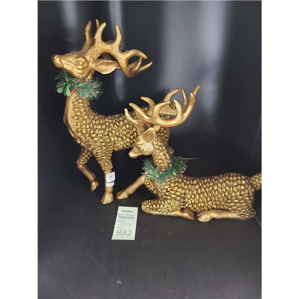 Bombay Reigndeers Cat A