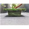 Image 6 : Jade Bonsai Arrangement Cat B