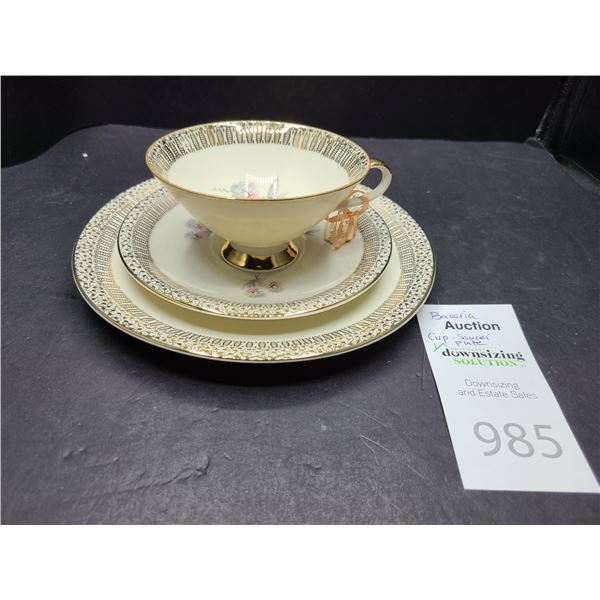 Schirnding Cup Saucer and Plate Cat B