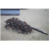 Image 2 : New and Unused 7' chain harrows with pole