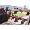 Image 11 : IH 550 single axle, double beater manure spreader, good condition. Used only on tobacco