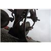 Image 8 : MF 74 3 furrow, 3pth plow, spring trip