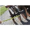 Image 11 : IH 350, 10' wheel disc, cylinder, good blades
