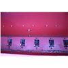 Image 14 : CIH 5100 18 run seed drill, doble disc, press wheel, grass, dry fertilizer, rear hitch