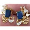 Image 1 : Sapphire and Diamond Earrings #2371826