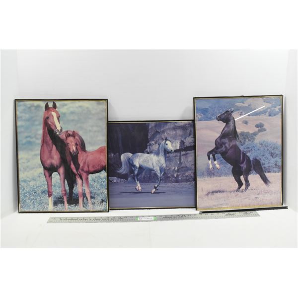 *3 Horse Prints in Damaged Frames