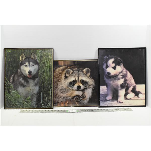 *3 Animals Prints w/ Frame