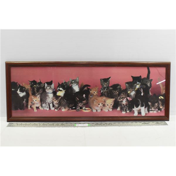 *Wide Kitten Photo 38”x14”