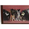 Image 2 : *Wide Kitten Photo 38”x14”