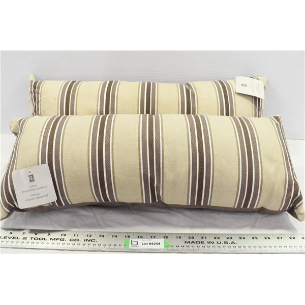 2 Indoor Throw Pillows
