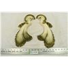 Image 1 : Symmetrical Chalkware Birds