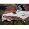 Image 3 : REMOTE PICKUP IN TUGASKE, SK - Pontiac 1952 Custom Deluxe Coupe Car