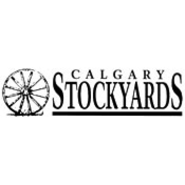 Lot 3 - George Tegart - 4 Bred Cows - Hereford (Pen 414)