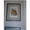 Image 1 : set of three birds prints #2369970