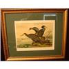 Image 1 : PAIR OF SIGNED BIRD PRINTS,FRAMED AND MATTED #2389656