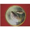 Image 1 : Beautiful hand painted Limoge plate with Fish #2390067