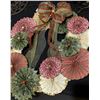 Image 2 : Christmas Rosettes