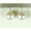 Image 1 : LARGE PEARL EARRINGS GOLD POSTS  #2354962