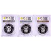 Image 2 : Lot of (3) 2016 Proof South Africa 2 Rand Cheetah Silver Coins PCGS PR70DCAM