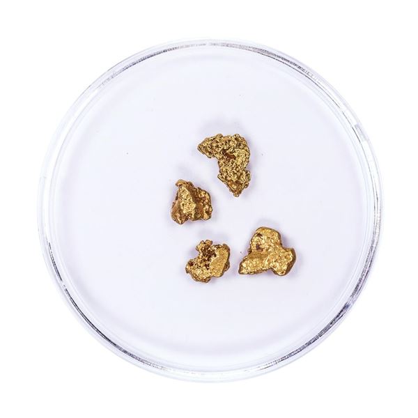 Lot of Gold Nuggets 1.67 grams Total Weight
