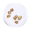 Image 1 : Lot of Gold Nuggets 2.70 grams Total Weight
