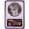 Image 2 : 1996 $1 American Silver Eagle Coin NGC MS69