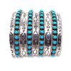 Image 1 : Zuni Sterling Sleeping Beauty Mine Snake Eye Turquoise