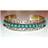 Image 1 : Zuni Sterling Sleeping Beauty Mine Snake Eye Turquoise