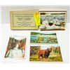 Image 1 : 1930 SET OF YELLOWSTONE PARK POST CARDS
